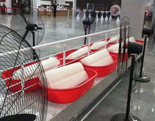 蜜桃久久久亚洲精品无码冰块案例