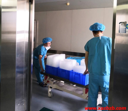 蜜桃久久久亚洲精品无码冰块厂家